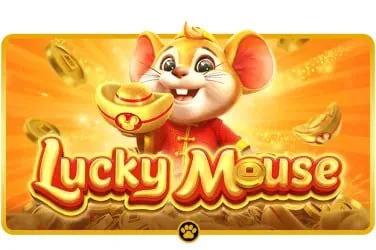 xc778 What We Offer in Teen Patti Night